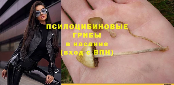 шишки Бородино