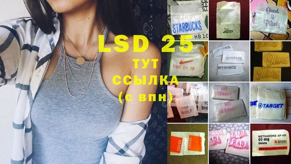 индика Бугульма