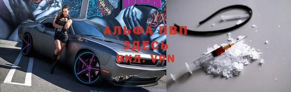 шишки Бородино
