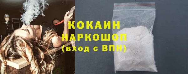 шишки Бородино