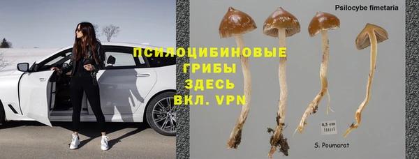 индика Бугульма