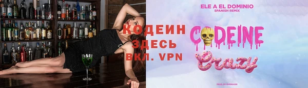шишки Бородино