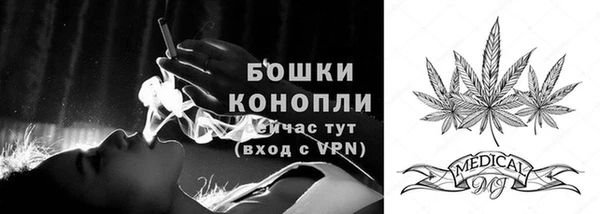 шишки Бородино