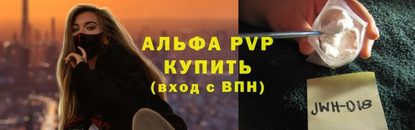 шишки Бородино