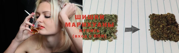 МДПВ Бронницы