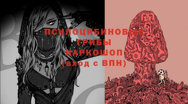 МДПВ Бронницы