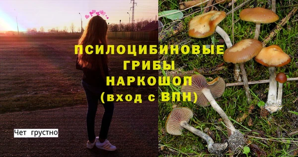 шишки Бородино