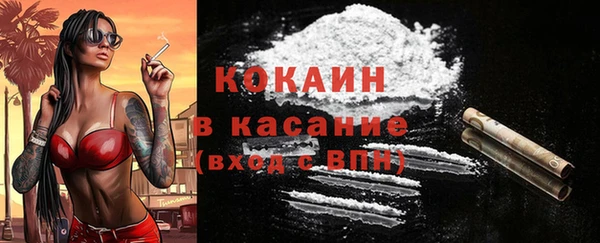 индика Бугульма