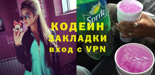 шишки Бородино