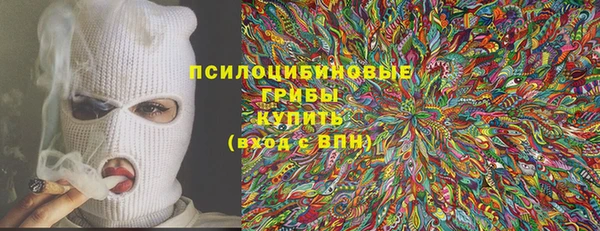 индика Бугульма