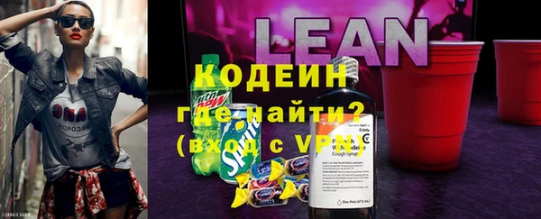 индика Бугульма