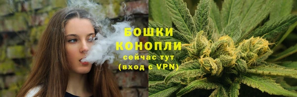 МДПВ Бронницы
